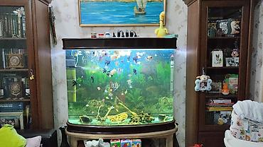 Boş, 450 l, Ünvandan götürmə - şəkil 3