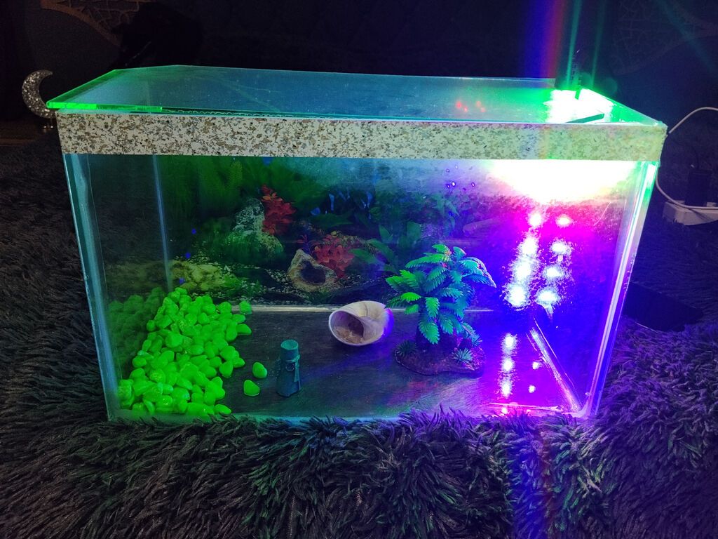 20litrlik akvarium bezeyi iwigi ile birlikde 28 manat endirimde bir