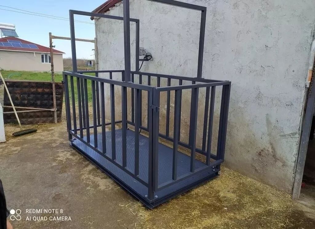 1000 kq, Nağd ödəniş