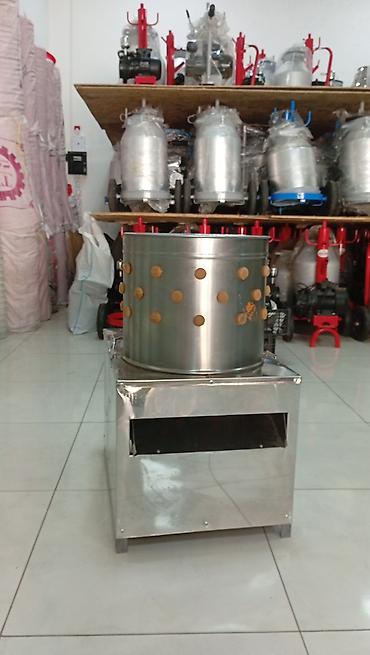 Təsvir: Paslanmayan poladdan hazırlanmış avtomatik toyuq yolma - şəkil 2