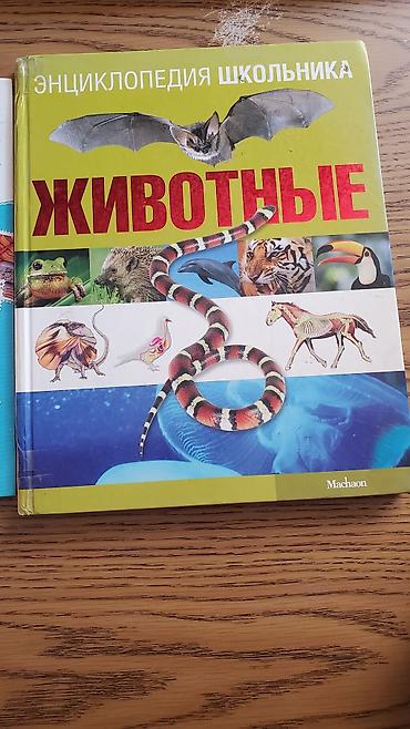 Дорогие большие Книги для Детей из личной коллекции с яркими - şəkil 2