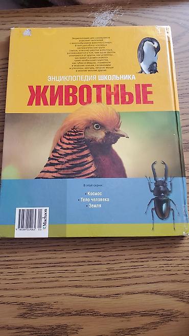 Дорогие большие Книги для Детей из личной коллекции с яркими - şəkil 3