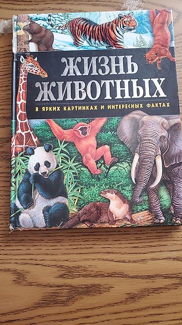 Дорогие большие Книги для Детей из личной коллекции с яркими - şəkil 5