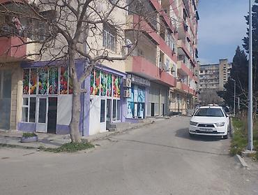 Meyvə-tərəvəz mağazası – Hazır biznes satılir. günlük alveri var Təzə - şəkil 2