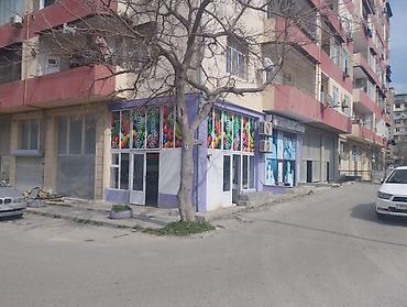 Meyvə-tərəvəz mağazası – Hazır biznes satılir. günlük alveri var Təzə - şəkil 3