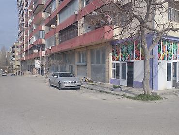 Meyvə-tərəvəz mağazası – Hazır biznes satılir. günlük alveri var Təzə - şəkil 4