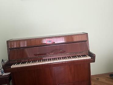 Piano, Petrof, Akustik, İşlənmiş, Ünvandan götürmə - şəkil 5