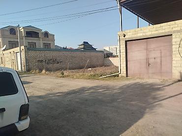 4 sot, Tikinti, Bələdiyyə - şəkil 3