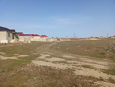 9 sot, Mülkiyyətçi, Kupça (Çıxarış) - şəkil 3