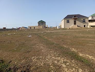 9 sot, Mülkiyyətçi, Kupça (Çıxarış) - şəkil 5