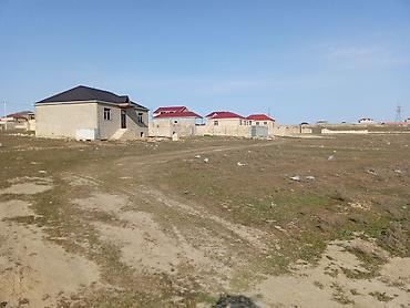 9 sot, Mülkiyyətçi, Kupça (Çıxarış) - şəkil 4