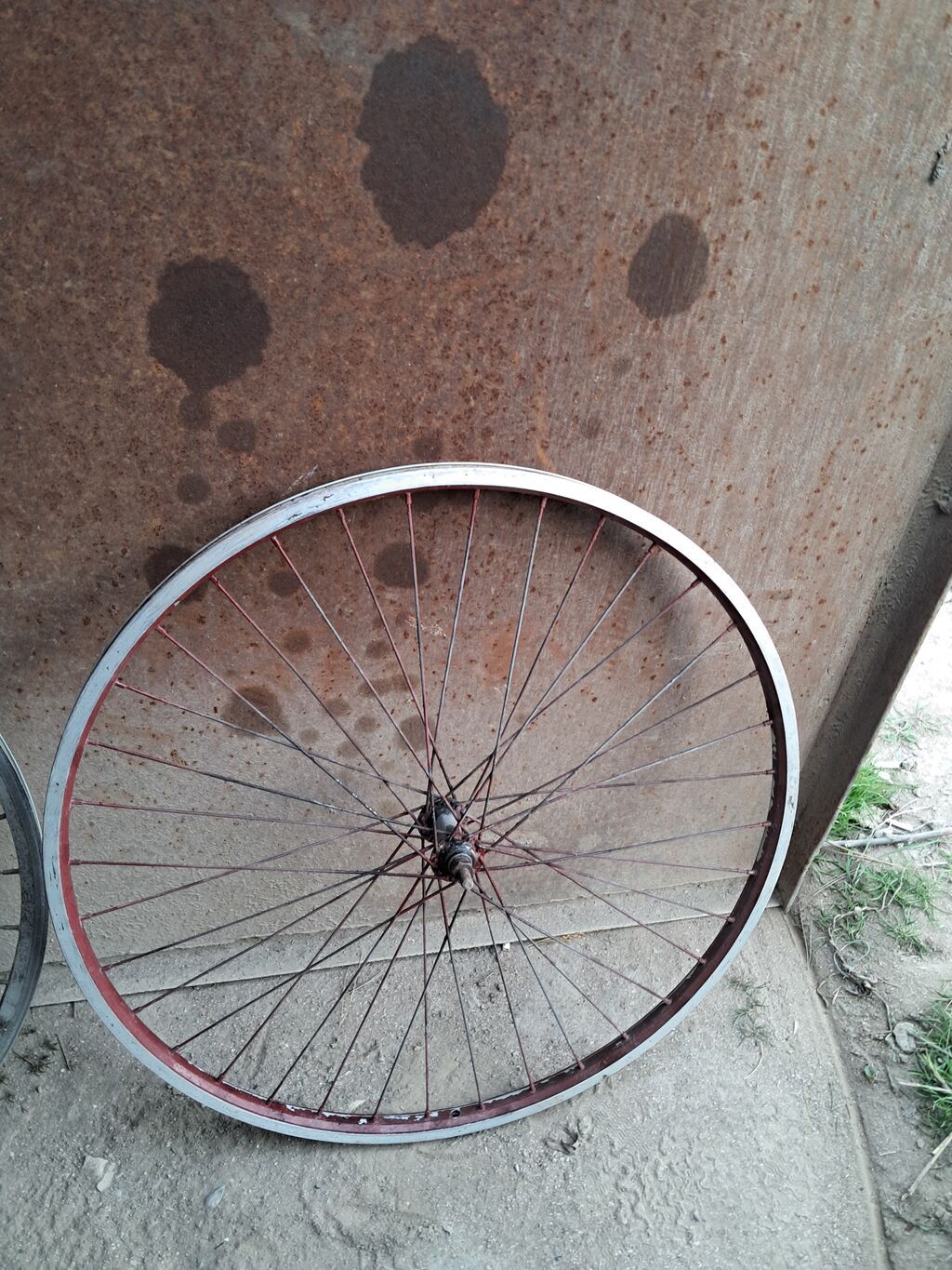 Velosbet Patruşqaları Kamerləri Diskiləri Hər Bir şey var sadəcə