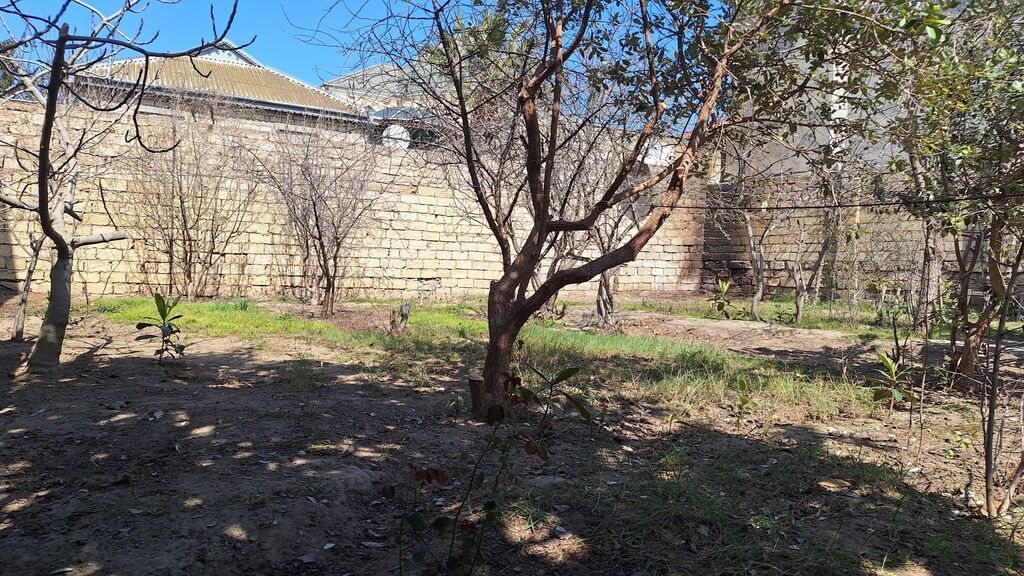 Tikinti, Mülkiyyətçi, Kupça (Çıxarış), Bələdiyyə, Texniki pasport