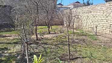 Tikinti, Mülkiyyətçi, Kupça (Çıxarış), Bələdiyyə, Texniki pasport - şəkil 5