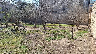 Tikinti, Mülkiyyətçi, Kupça (Çıxarış), Bələdiyyə, Texniki pasport - şəkil 4