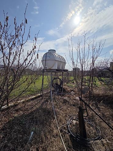 Məhsul: Hasarlı bağ sahəsi və təsərrüfat infrastrukturu Təsvir: - - şəkil 3