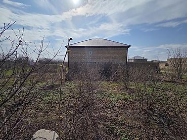 Məhsul: Hasarlı bağ sahəsi və təsərrüfat infrastrukturu Təsvir: - - şəkil 5