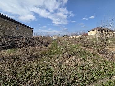 Məhsul: Hasarlı bağ sahəsi və təsərrüfat infrastrukturu Təsvir: - - şəkil 2