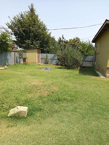 Həyətyanı torpaq sahəsi olan 1 mərtəbəli fərdi yaşayış evi - Plan - şəkil 3