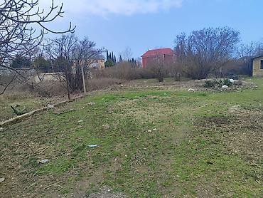 3 sot, Kənd təsərrüfatı, Kupça (Çıxarış) - şəkil 5