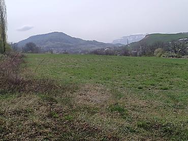 20 sot, Biznes üçün, Mülkiyyətçi, Kupça (Çıxarış), Texniki pasport - şəkil 2