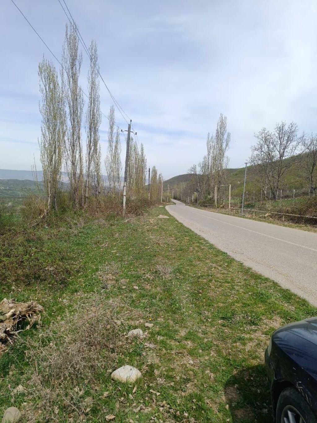 20 sot, Biznes üçün, Mülkiyyətçi, Kupça (Çıxarış), Texniki pasport