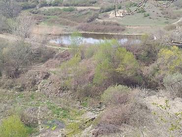 20 sot, Biznes üçün, Mülkiyyətçi, Kupça (Çıxarış), Texniki pasport - şəkil 3