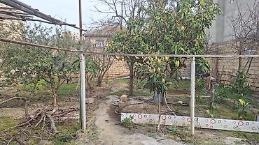 Tikinti, Mülkiyyətçi - şəkil 5