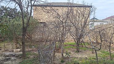 Tikinti, Mülkiyyətçi - şəkil 2