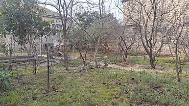 Tikinti, Mülkiyyətçi - şəkil 4