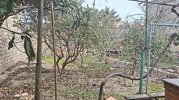 Tikinti, Mülkiyyətçi - şəkil 3