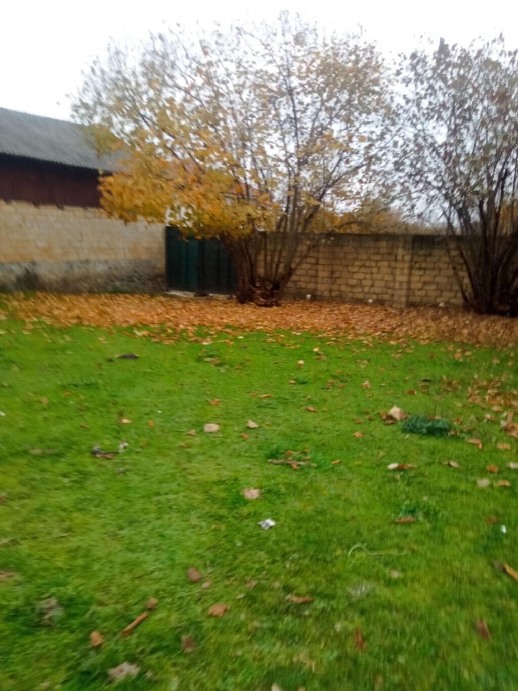 12 sot, Tikinti, Mülkiyyətçi, Kupça (Çıxarış)