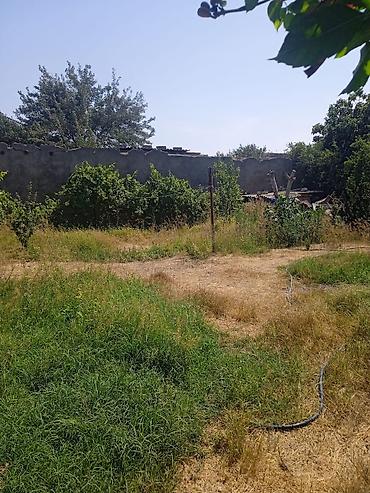 4 sot, Tikinti, Mülkiyyətçi, Kupça (Çıxarış) - şəkil 4