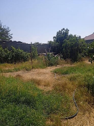 4 sot, Tikinti, Mülkiyyətçi, Kupça (Çıxarış) - şəkil 3