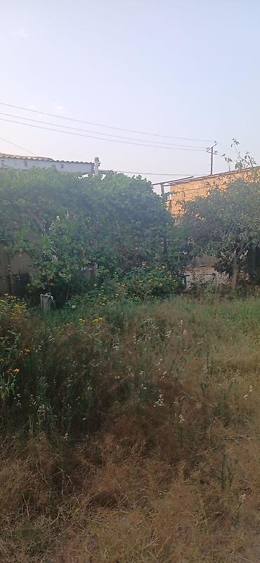 4 sot, Tikinti, Mülkiyyətçi, Kupça (Çıxarış) - şəkil 5