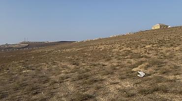 30 sot, Kənd təsərrüfatı, Mülkiyyətçi, Kupça (Çıxarış) - şəkil 3