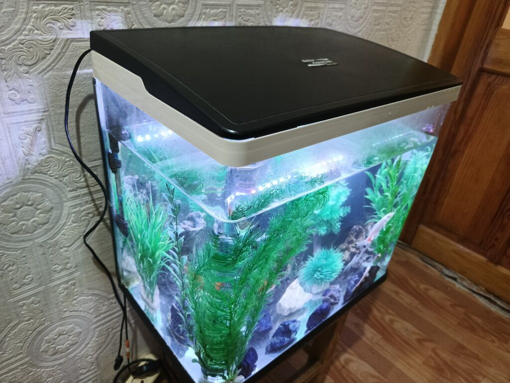 Salam zavod akvarium sensirli işıq rengin dəyişir su qızdırıcı Atman