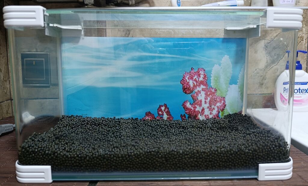 Dördbucaq akvarium, Boş, 12 l, Ünvandan götürmə, Pulsuz çatdırılma, Ödənişli çatdırılma