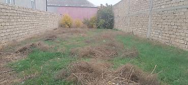 3 sot, Tikinti, Barter mümkündür, Kupça (Çıxarış) - şəkil 5