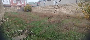 3 sot, Tikinti, Barter mümkündür, Kupça (Çıxarış) - şəkil 2