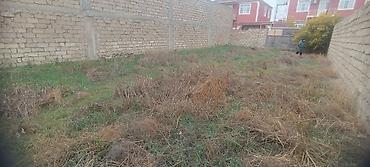 3 sot, Tikinti, Barter mümkündür, Kupça (Çıxarış) - şəkil 3