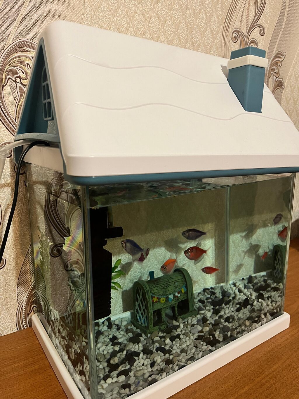 Dekorativ ev formalı akvarium - Üst hissəsi dam formalı qapaq və