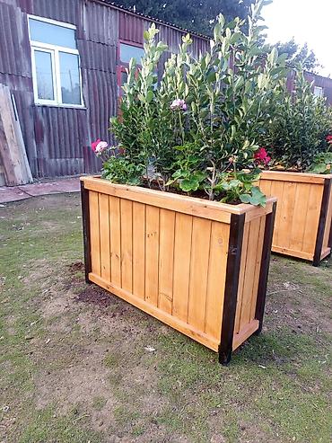 Taxtalar ile ev, bağ, restoran, ofis, otel ve s. məkanlarınızın müasir - şəkil 5