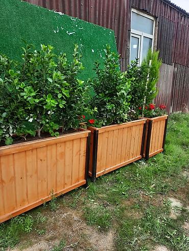 Açıq məkana uyğun taxta çiçək qutuları - Material: təbii şüşə kimi - şəkil 3