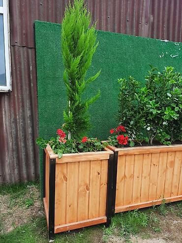 Açıq məkana uyğun taxta çiçək qutuları - Material: təbii şüşə kimi - şəkil 4