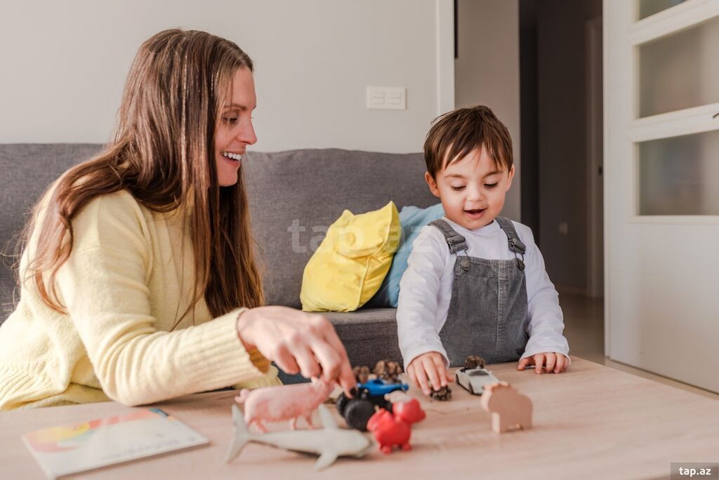 Tecili 2yas 3 aylıq usaq ucun daye komekcı axtarilir.Guleruz mehrıban
