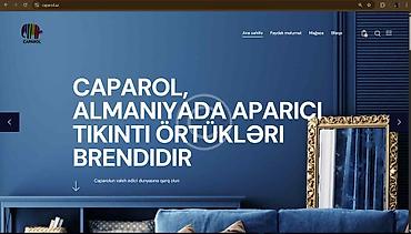 Veb saytların hazırlanması | Domen, Hosting - şəkil 3