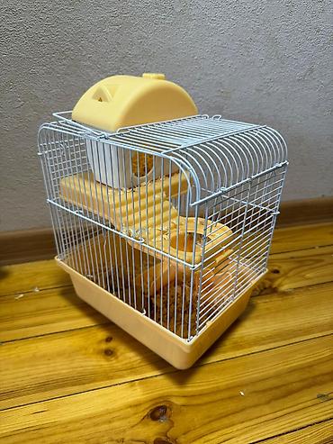 Xamyak və Qəfəsi satılır, paçkada yemi və yekə apilkasıda verilir - şəkil 2