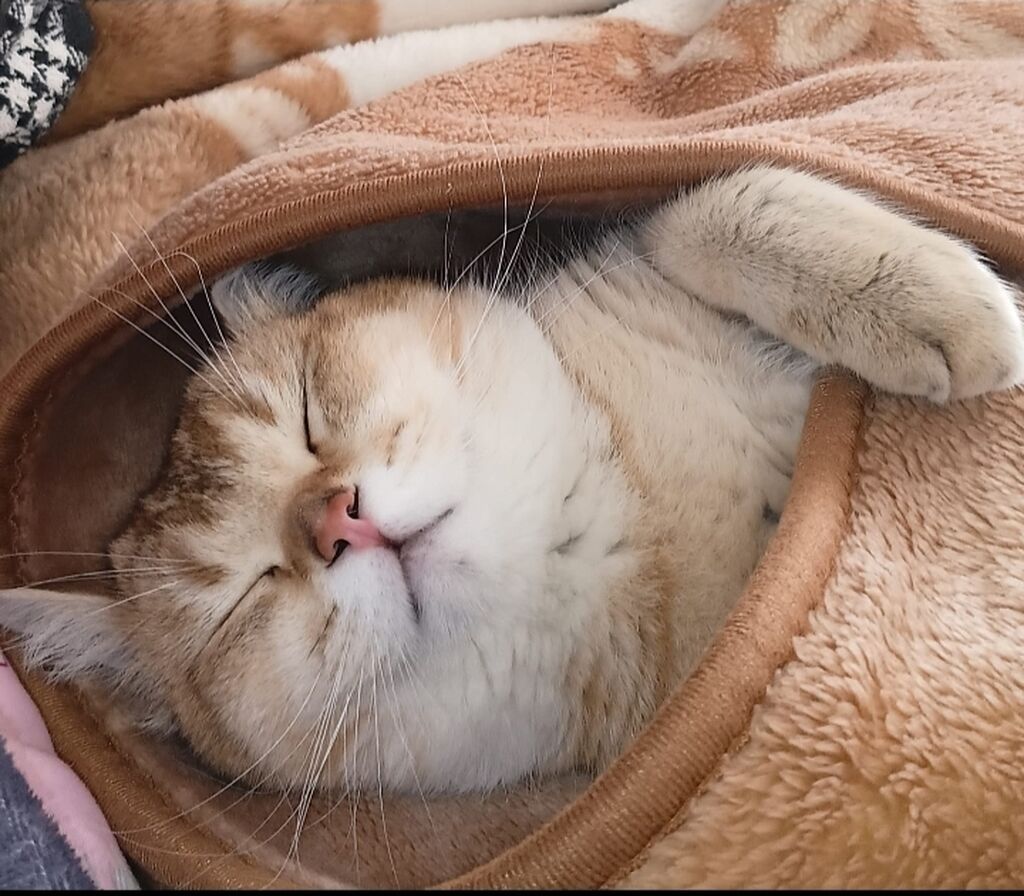 Salam .Ciddi Alıcılar yazsın qiymet 150 m razilaşsaq aşaqi yeride var