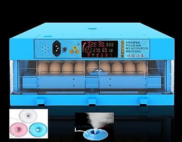 100 yumurta, Çin, Fabrik istehsalı, Tam avtomat, Bütün növ quşlaq üçün - şəkil 2